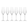 Harmony Set Of 6 180ml Champagne Flute -Homeware Haven Shop 616482820 1 1 720x928