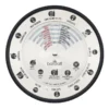Stainless Steel Cocktail Compass Silver -Homeware Haven Shop 781452910 1 720x928