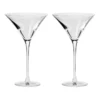 Duet Set Of 2 170ml Martini Glass Gift Boxed -Homeware Haven Shop 781453360 1 720x928