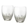 Waterford Lismore Essence Tumbler 400ml Pair -Homeware Haven Shop 861727690 1 720x928