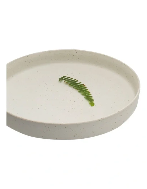 Claro Salad Bowl 30x6cm White -Homeware Haven Shop