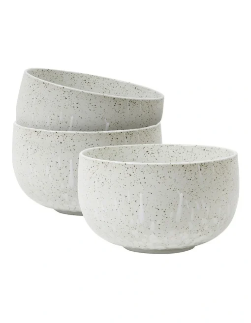New Beginnings Noodle Bowl Set Of 4 In Shiro Cloud -Homeware Haven Shop