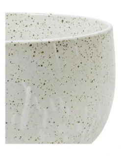 New Beginnings Noodle Bowl Set Of 4 In Shiro Cloud -Homeware Haven Shop 909471970 3 720x928